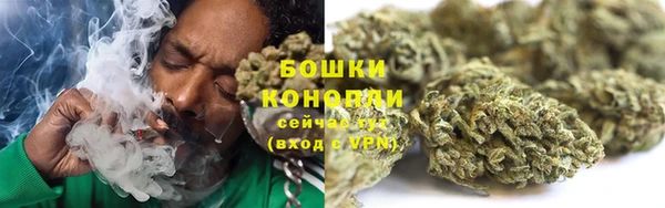 ECSTASY Новозыбков