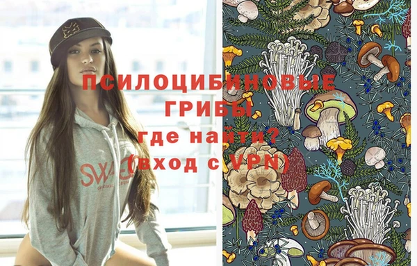 Альфа ПВП Няндома