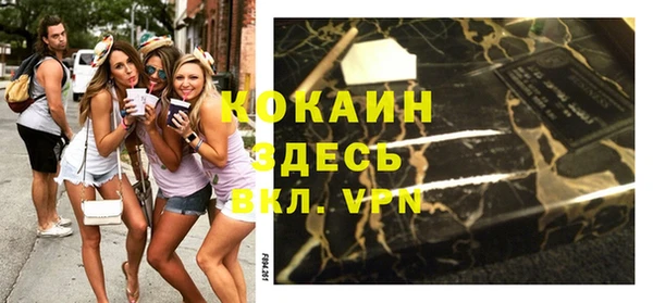 Альфа ПВП Няндома