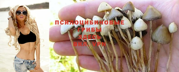 apvp Нягань