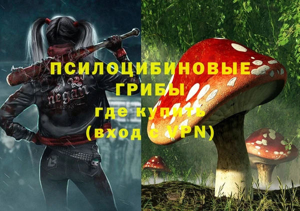 ECSTASY Семёнов