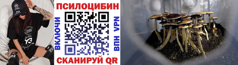 Псилоцибиновые грибы мицелий  купить   Тула 
