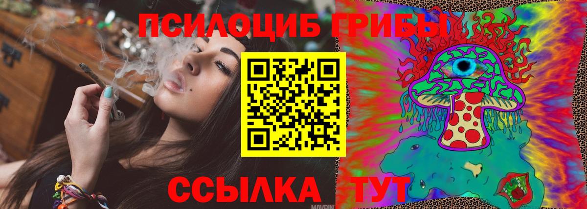 Тула  Псилоцибиновые грибы Psilocybe  Вход с VPN 